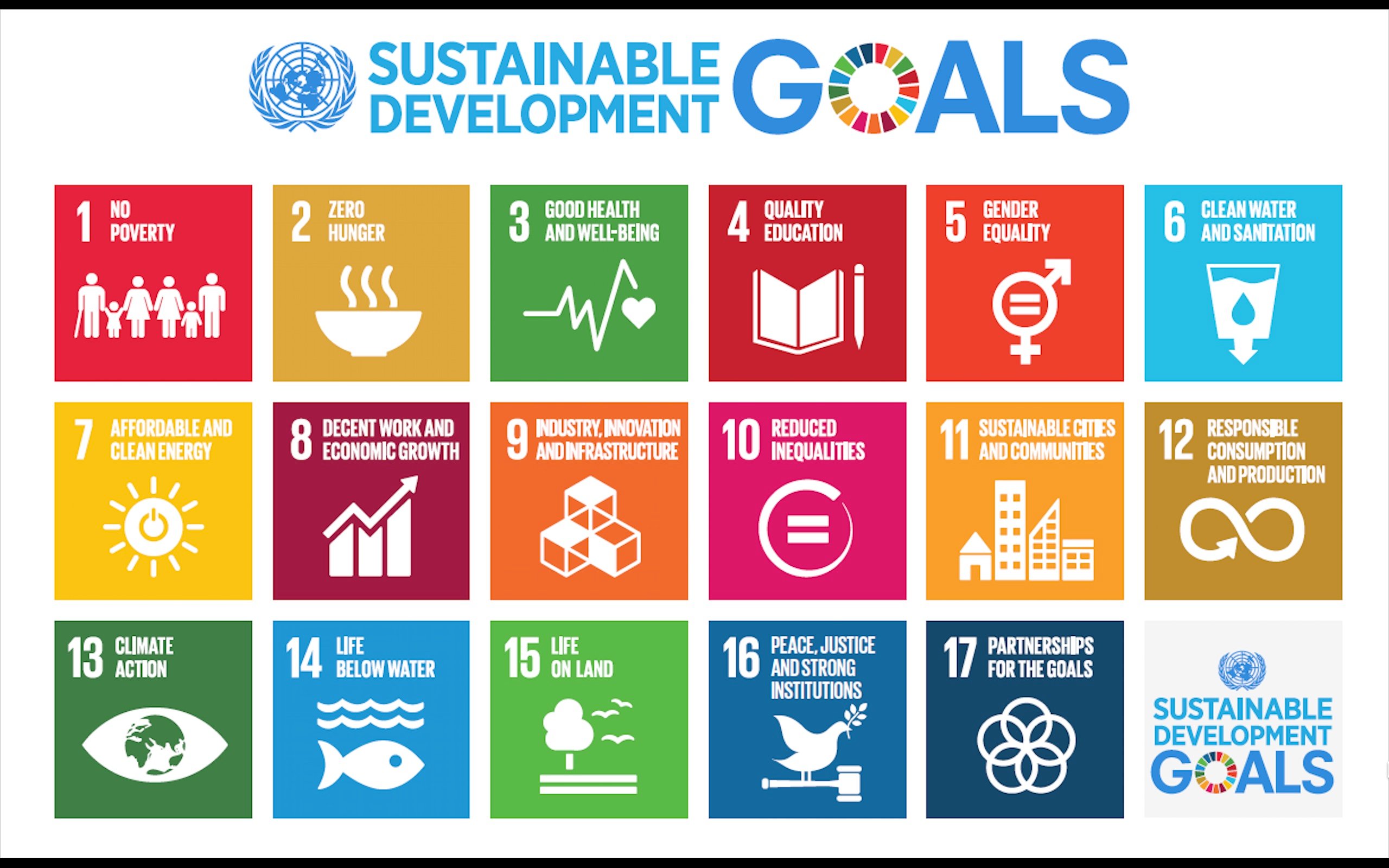 The 17 UN Sustainable Development Goals