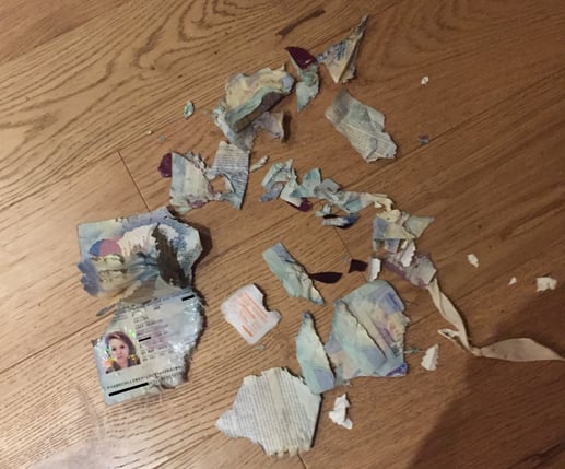 Passport shredded into lots of tiny pieces